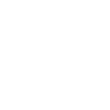 icon (1)