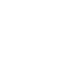 icon (2)